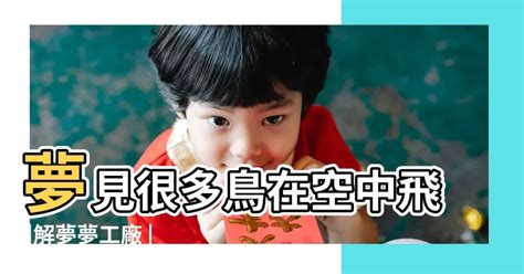 夢見很多鳥在飛|周公解夢夢見鳥